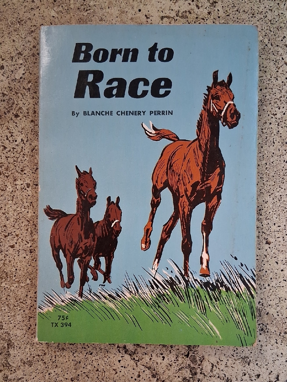Born to Race By Blanche Chenery Perrin Vintage Children's Chapter Book Horses